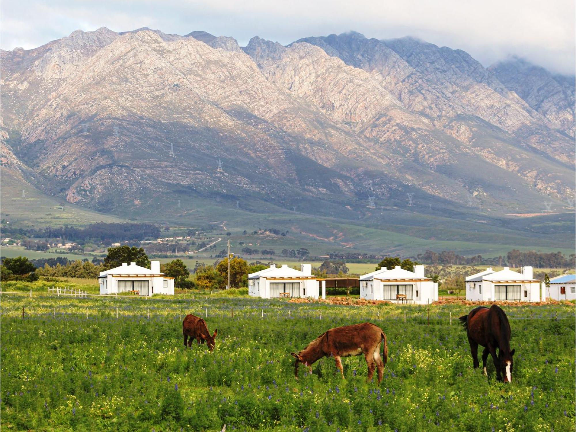 Duikersdrift Winelands Country Escape Hotel Tulbagh Kültér fotó