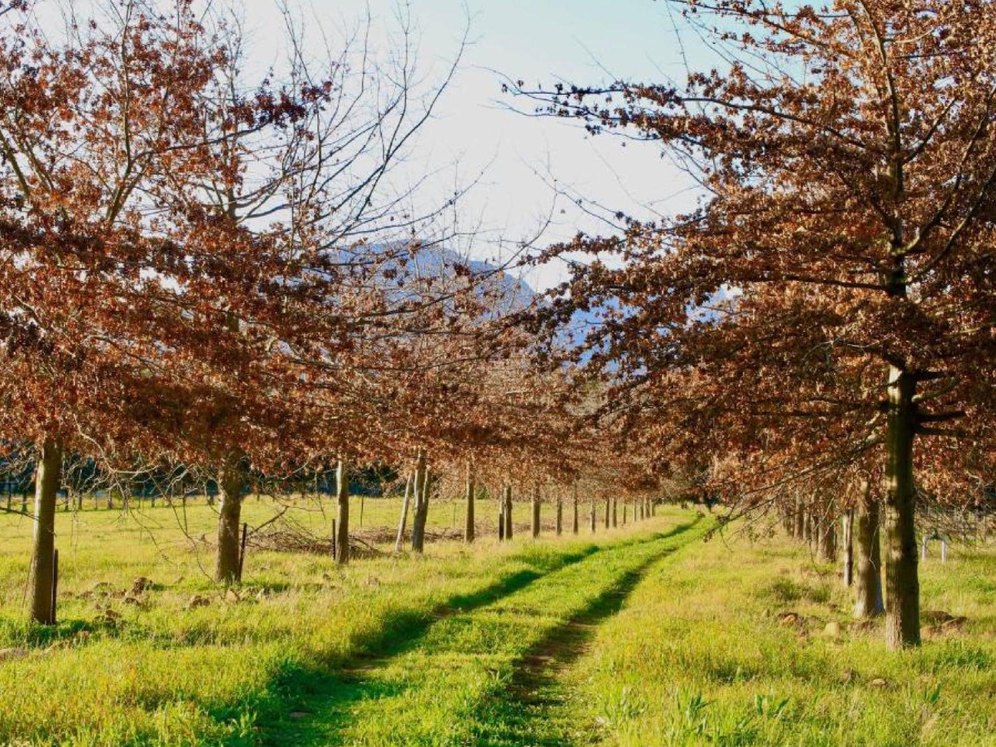 Duikersdrift Winelands Country Escape Hotel Tulbagh Kültér fotó