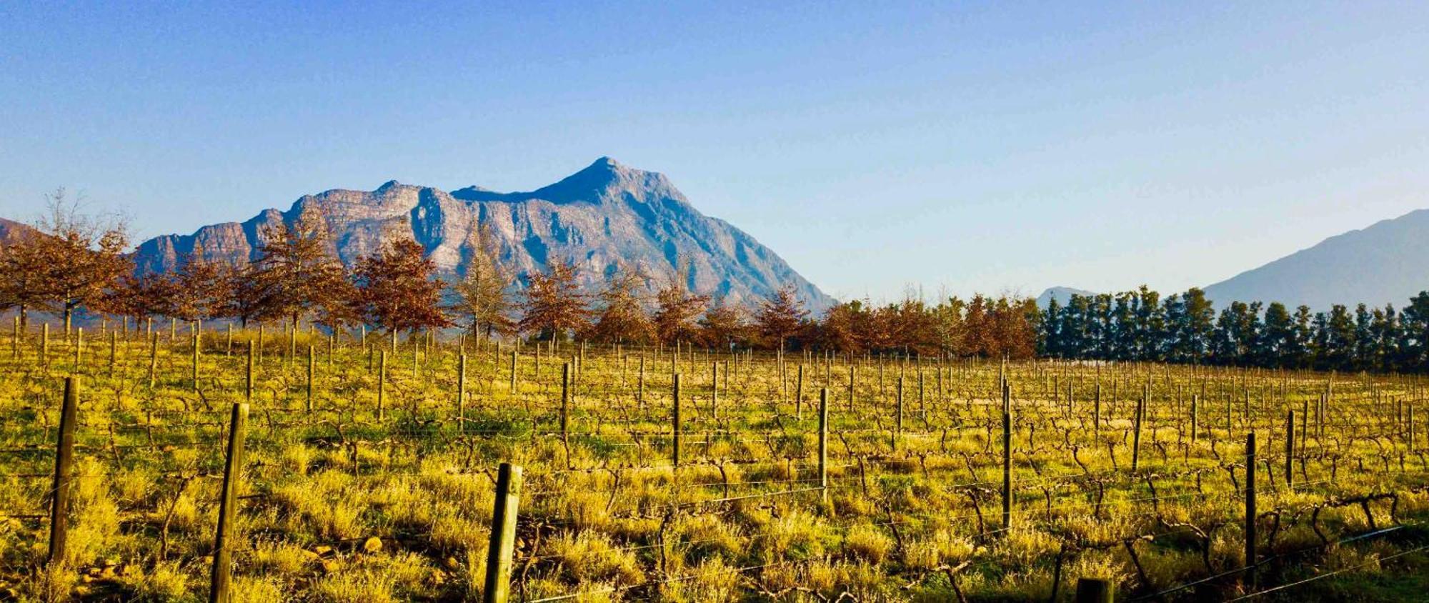 Duikersdrift Winelands Country Escape Hotel Tulbagh Kültér fotó