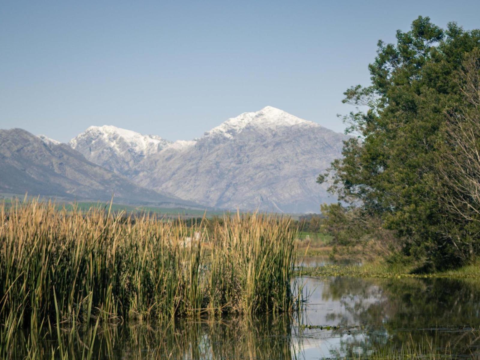Duikersdrift Winelands Country Escape Hotel Tulbagh Kültér fotó