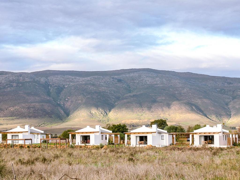 Duikersdrift Winelands Country Escape Hotel Tulbagh Kültér fotó